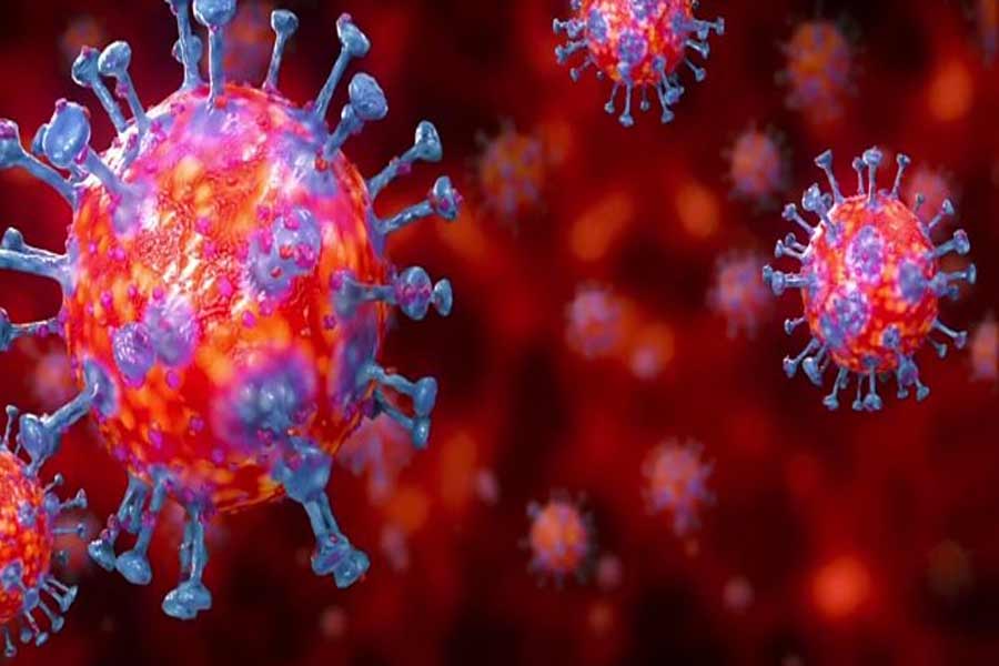 Photo of ਬ੍ਰਾਜ਼ੀਲ : 24 ਘੰਟਿਆਂ ‘ਚ Coronavirus ਦੇ ਕਰੀਬ 40,000 ਨਵੇਂ ਮਾਮਲੇ ਆਏ ਸਾਹਮਣੇ