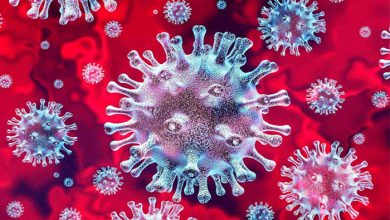 Photo of ਦੁਨੀਆਭਰ ‘ਚ Corona Virus ਦਾ ਕਹਿਰ, ਆਂਕੜਾ ਪਹੁੰਚਿਆ 13.11 ਕਰੋੜ ਤੋਂ ਪਾਰ