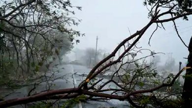 Photo of Cyclone Tauktae ਦਾ ਕਹਿਰ : ਨੌਸੈਨਾ ਨੇ ਮੁਸ਼ਕਿਲ ‘ਚ ਫਸੇ 146 ਲੋਕਾਂ ਨੂੰ ਬਚਾਇਆ ਹੋਰ ਦੀ ਤਲਾਸ਼ ਜਾਰੀ