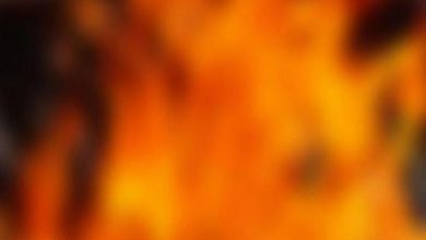 Photo of ਪਾਕਿਸਤਾਨ ਦੇ ਲਾਲਾ ਮੂਸਾ ਸ਼ਹਿਰ ‘ਚ ਭਿਆਨਕ ਅੱਗ, 500 ਤੋਂ ਵਧੇਰੇ ਦੁਕਾਨਾਂ ਸੜ ਕੇ ਸੁਆਹ