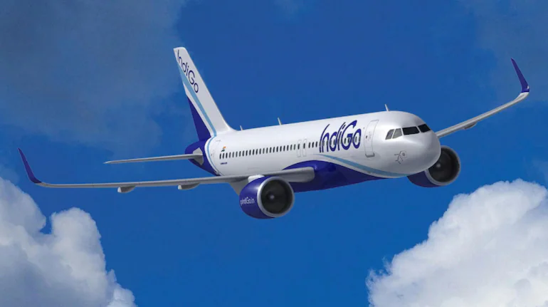 Indigo 770x433 1