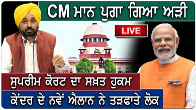 Photo of CM Mann ਪੁਗਾ ਗਿਆ ਅੜੀ, Supreme Court ਦਾ ਸਖ਼ਤ ਹੁਕਮ | D5 Channel Punjabi
