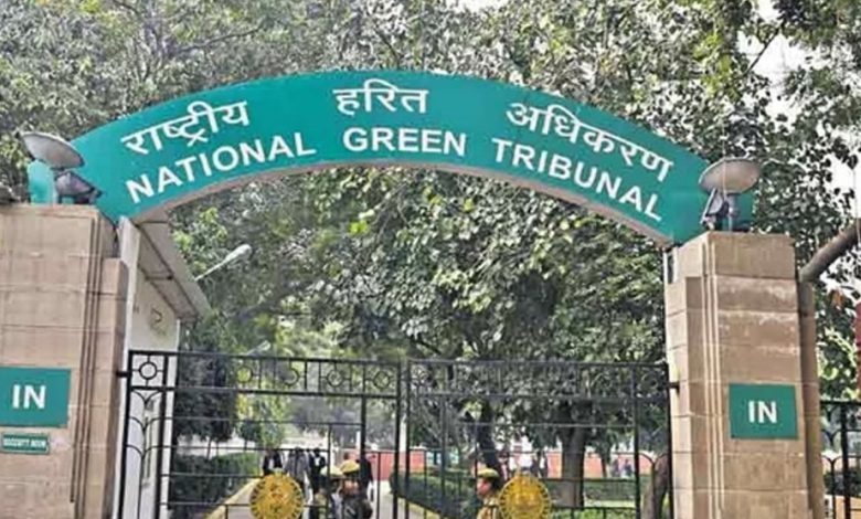 NGT ਨੇ ਲੁਧਿਆਣਾ ਨਗਰ ਨਿਗਮ ਨੂੰ ਲਗਾਈ ਫਟਕਾਰ, ਗਰੀਨ ਬੈਲਟ 'ਚ ਕਬਜ਼ਿਆਂ 'ਤੇ ਸਖ਼ਤੀ; ਅਧਿਕਾਰੀਆਂ ਤੋਂ ਦੋ ਮਹੀਨਿਆਂ 'ਚ ਮੰਗਿਆ ਜਵਾਬ 1 Untitled 1 7