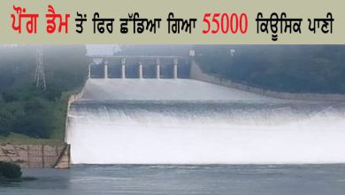 Photo of 55000 cusecs of water released from Pong Dam: ਪੌਂਗ ਡੈਮ ਤੋਂ ਫਿਰ ਛੱਡਿਆ ਗਿਆ 55000 ਕਿਉਸਿਕ ਪਾਣੀ, ਨਾਲ ਗੱਲਦੇ ਪੰਡਾ ਵਿਚ ਹੜ੍ਹ ਦਾ ਖਤਰਾਂ