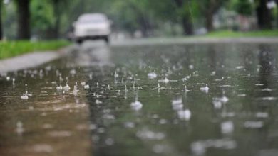 Photo of Monsoon In Punjab: ਪੰਜਾਬ ‘ਚ ਜਲਦ ਐਕਟਿਵ ਹੋਵੇਗਾ ਮਾਨਸੂਨ, ਰਾਤਾ ਹੋਣਗੀਆਂ ਠੰਡੀਆਂ