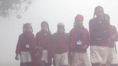 Photo of 1 ਜਨਵਰੀ 2024 ਤੋਂ ਸਾਰੇ ਸਕੂਲ ਲੱਗਿਆ ਕਰਨਗੇ 10 ਵਜੇ