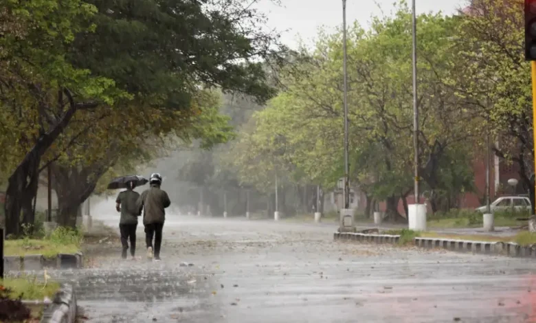 in chandigarh rain 1