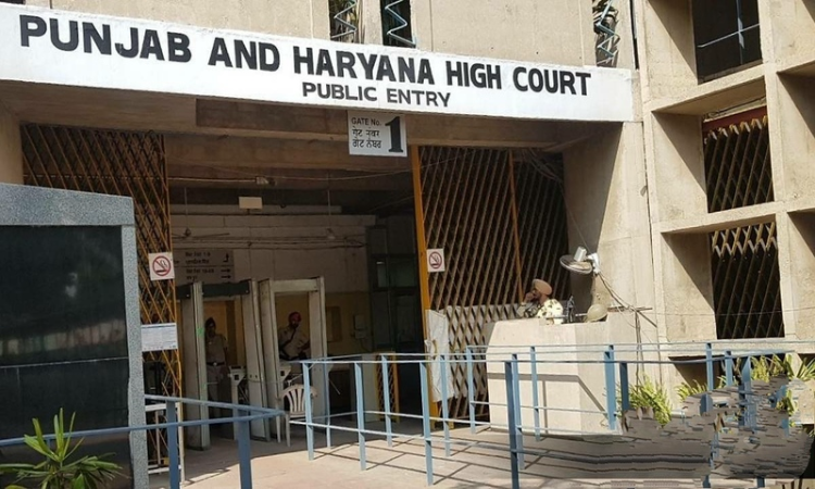 750x450 404845 punjab and haryana high court