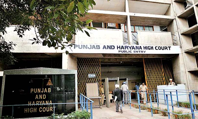 750x450 punjab haryana high court min 3