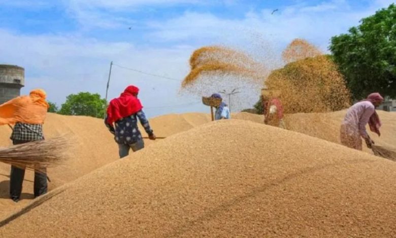 Government procurement of paddy started in Punjab