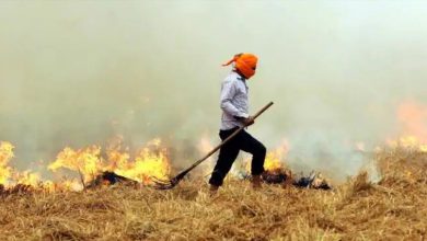 Photo of ਕੇਂਦਰ ਸਰਕਾਰ ਨੇ ਪੰਜਾਬ ਦੀ ਮੰਗ ਠੁਕਰਾਈ: ਕਿਹਾ-ਹਰਿਆਣਾ ਵਾਂਗ ਆਪਣੇ ਬਜਟ ‘ਚੋਂ ਕਿਸਾਨਾਂ ਨੂੰ  ਦਿਓ ਰਿਆਇਤਾਂ