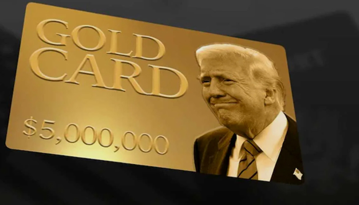 Gold Card Website