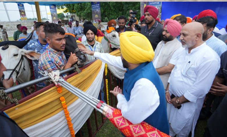 ਜਲਦੀ ਹੀ ਖਤਮ ਹੋਣ ਜਾ ਰਹੀ ਹੈ ਵਿਰਾਸਤੀ ਖੇਡਾਂ ‘ਤੇ ਲੱਗੀ ਪਾਬੰਦੀ 1 b 9