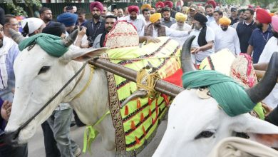 Photo of ਕਿਲਾ ਰਾਏਪੁਰ ਖੇਡਾਂ ‘ਚ ਬਲਦਾਂ ਦੀ ਦੌੜ ਨੂੰ ਹਰੀ ਝੰਡੀ! ਜਾਨਵਰਾਂ ਪ੍ਰਤੀ ਬੇਰਹਿਮੀ ਐਕਟ ‘ਚ ਸੋਧ, ਰਾਜਪਾਲ ਦੀ ਮੁਹਰ ਲੱਗਣੀ ਬਾਕੀ