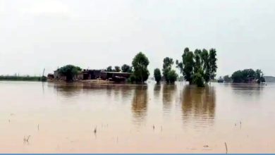 Photo of ਪਾਣੀ ਦੇ ਪੱਧਰ ਵਿੱਚ ਵਾਧੇ ਨਾਲ ਕਪੂਰਥਲਾ ਅਤੇ ਹੁਸ਼ਿਆਰਪੁਰ ਦੇ ਪਿੰਡਾਂ ਵਿੱਚ ਹੜ੍ਹ ਦਾ ਖ਼ਤਰਾ