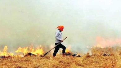 Photo of ਸੁਪਰੀਮ ਕੋਰਟ ਦੀ ਫਟਕਾਰ ਅਤੇ ਪੰਜਾਬ ਸਰਕਾਰ ਦੇ ਐਕਸ਼ਨ ਤੋਂ ਬਾਅਦ ਵੀ ਨਹੀਂ ਰੁਕ ਰਹੇ ਪਰਾਲੀ ਸਾੜਨ ਦੇ ਮਾਮਲੇ