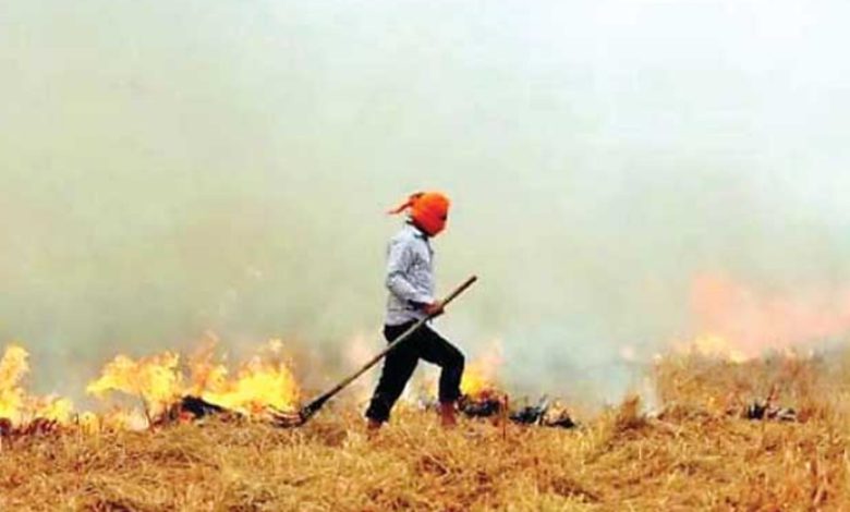 ਸੁਪਰੀਮ ਕੋਰਟ ਦੀ ਫਟਕਾਰ ਅਤੇ ਪੰਜਾਬ ਸਰਕਾਰ ਦੇ ਐਕਸ਼ਨ ਤੋਂ ਬਾਅਦ ਵੀ ਨਹੀਂ ਰੁਕ ਰਹੇ ਪਰਾਲੀ ਸਾੜਨ ਦੇ ਮਾਮਲੇ 1 552437484 1203547631806179 1263678520058320405 n 3