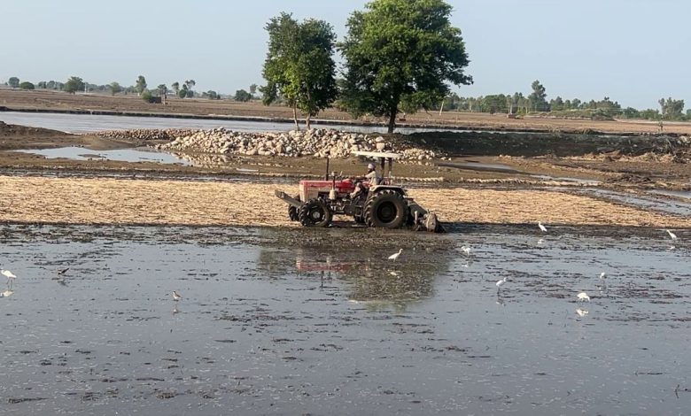 Ferozpur Flood Ground Report 2