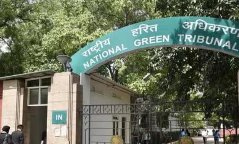 NGT ਨੇ ਬਠਿੰਡਾ ਸਾਲਿਡ ਵੇਸਟ ਪਲਾਂਟ ਦੀ ਮੰਗੀ ਵਿਸਥਾਰ ਰਿਪੋਰਟ 1 aa 2