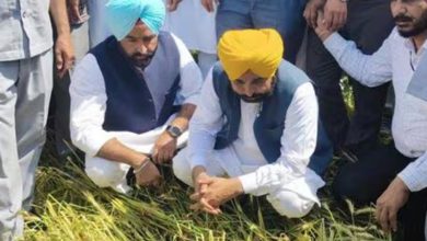 ਪੰਜਾਬ ‘ਚ ਅੱਜ ਤੋਂ ਝੋਨੇ ਦੀ ਖਰੀਦ ਸ਼ੁਰੂ, ਸੂਭੇ ਭਰ ‘ਚ 1822 ਕੇਂਦਰ ਕੀਤੇ ਗਏ ਸਥਾਪਤ 2 Photo of ਪੰਜਾਬ ‘ਚ ਅੱਜ ਤੋਂ ਝੋਨੇ ਦੀ ਖਰੀਦ ਸ਼ੁਰੂ, ਸੂਭੇ ਭਰ ‘ਚ 1822 ਕੇਂਦਰ ਕੀਤੇ ਗਏ ਸਥਾਪਤ