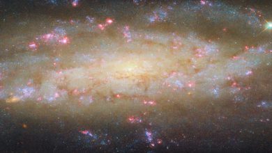 Photo of NGC 7456 ਨਾਮਕ ਇੱਕ ਗਲੈਕਸੀ ਲਗਭਗ 51 ਮਿਲੀਅਨ ਪ੍ਰਕਾਸ਼ ਸਾਲ ਦੂਰ