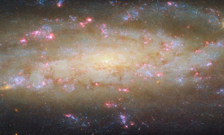 NGC 7456 ਨਾਮਕ ਇੱਕ ਗਲੈਕਸੀ ਲਗਭਗ 51 ਮਿਲੀਅਨ ਪ੍ਰਕਾਸ਼ ਸਾਲ ਦੂਰ 1 dn 13