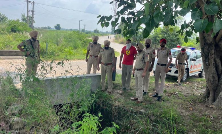 ludhiana nri woman rupinder kaur brutal murder
