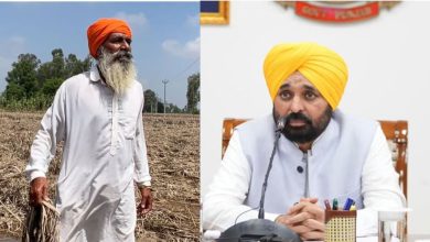 Photo of ਪੰਜਾਬ ਸਰਕਾਰ ਦੇਵੇਗੀ 2 ਲੱਖ ਕੁਇੰਟਲ ਮੁਫ਼ਤ ਬੀਜ, CM