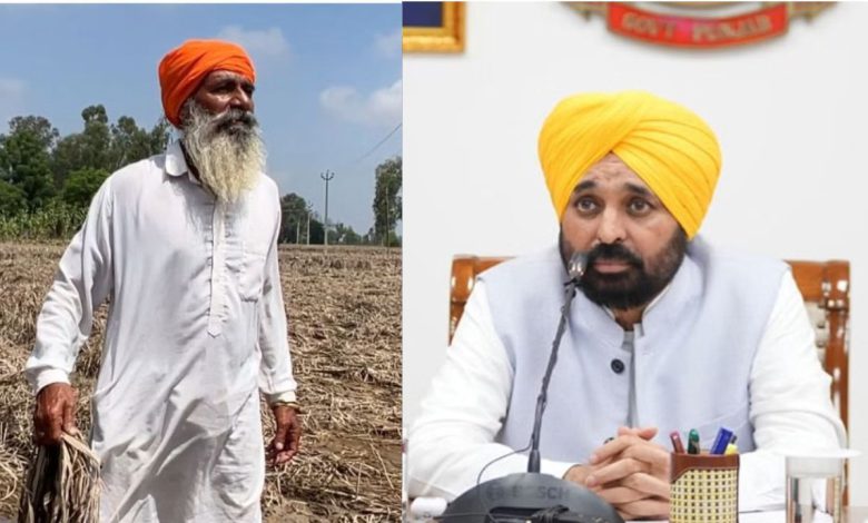 ਪੰਜਾਬ ਸਰਕਾਰ ਦੇਵੇਗੀ 2 ਲੱਖ ਕੁਇੰਟਲ ਮੁਫ਼ਤ ਬੀਜ, CM 1 punjab floods 1