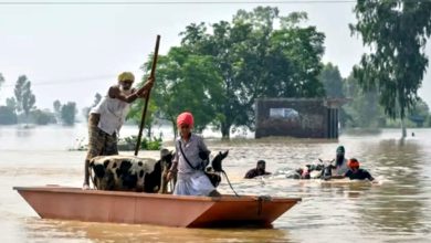Photo of ਪੰਜਾਬ ਦੇ 9 ਜ਼ਿਲ੍ਹਿਆਂ ’ਚ ਰੈੱਡ ਅਲਰਟ