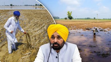 Photo of ਅੱਜ ਤੋਂ ਵੰਡੇ ਜਾਣਗੇ ਮੁਆਵਜ਼ੇ ਦੇ ਚੈੱਕ, ਪੁਨਰਵਾਸ ਪ੍ਰੋਗਰਾਮ ਅੰਮ੍ਰਿਤਸਰ ਤੋਂ ਹੋਵੇਗਾ ਸ਼ੁਰੂ