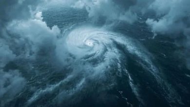 ਮੋਂਥਾ ਤੂਫ਼ਾਨ ਕਾਰਨ ਬਦਲ ਗਿਆ ਹੈ ਮੌਸਮ 5 Photo of ਮੋਂਥਾ ਤੂਫ਼ਾਨ ਕਾਰਨ ਬਦਲ ਗਿਆ ਹੈ ਮੌਸਮ