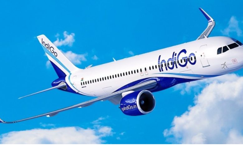 587171878 779410721772317 6122446922753503137 n 7