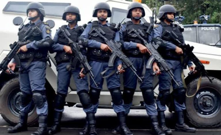 768 512 14132959 417 14132959 1641647377525