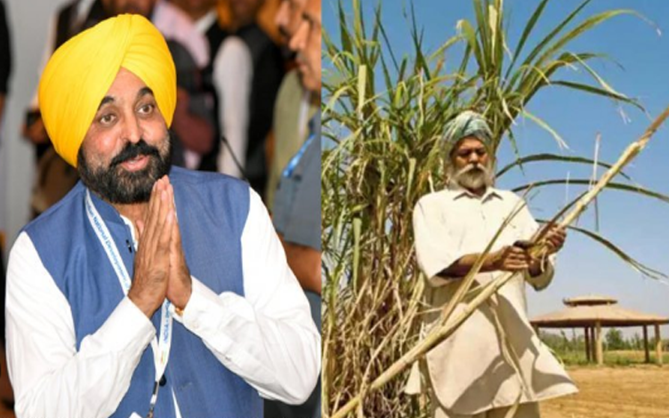 Terrifying Incident in Haryana Childs Body Parts Found Sacrifice Suspected 2