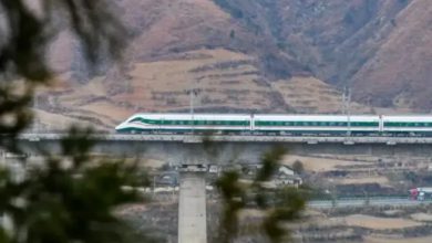 Photo of ਰੇਲਗੱਡੀ ਪਟੜੀਆਂ ‘ਤੇ ਕੰਮ ਕਰ ਰਹੇ ਰੇਲਵੇ ਕਰਮਚਾਰੀਆਂ ਚੋਂ ਗਿਆਰਾਂ ਮਜ਼ਦੂਰਾਂ ਦੀ ਮੌਤ