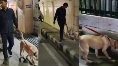 Photo of ਲਖਨਊ ਦੇ ਲੂਲੂ ਮਾਲ ਮਿਲਿਆ ਪੱਤਰ,  24 ਘੰਟਿਆਂ ਦੇ ਅੰਦਰ ਸ਼ਹਿਰ ਦੀਆਂ ਸਭ ਤੋਂ ਪ੍ਰਮੁੱਖ ਇਮਾਰਤਾਂ ਨੂੰ ਉਡਾਉਣ ਦੀ ਧਮਕੀ