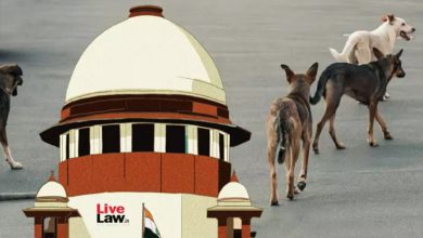 Photo of ਲਾਵਾਰਸ ਕੁੱਤਿਆਂ ਤੇ ਬੇਸਹਾਰਾ ਜਾਨਵਰਾਂ ਨੂੰ ਸੜਕਾਂ ਤੇ ਹਾਈਵੇਅ ਤੋਂ ਤੁਰੰਤ ਹਟਾਇਆ ਜਾਵੇ- SC