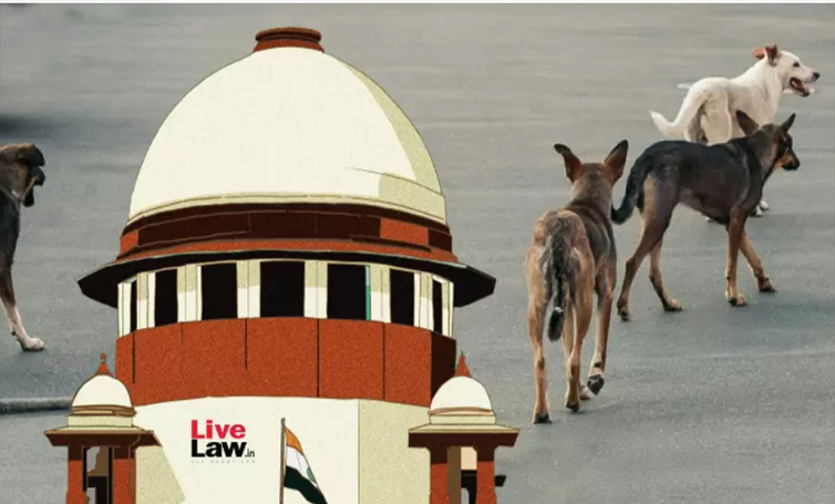 ਲਾਵਾਰਸ ਕੁੱਤਿਆਂ ਤੇ ਬੇਸਹਾਰਾ ਜਾਨਵਰਾਂ ਨੂੰ ਸੜਕਾਂ ਤੇ ਹਾਈਵੇਅ ਤੋਂ ਤੁਰੰਤ ਹਟਾਇਆ ਜਾਵੇ- SC 1 sa 4