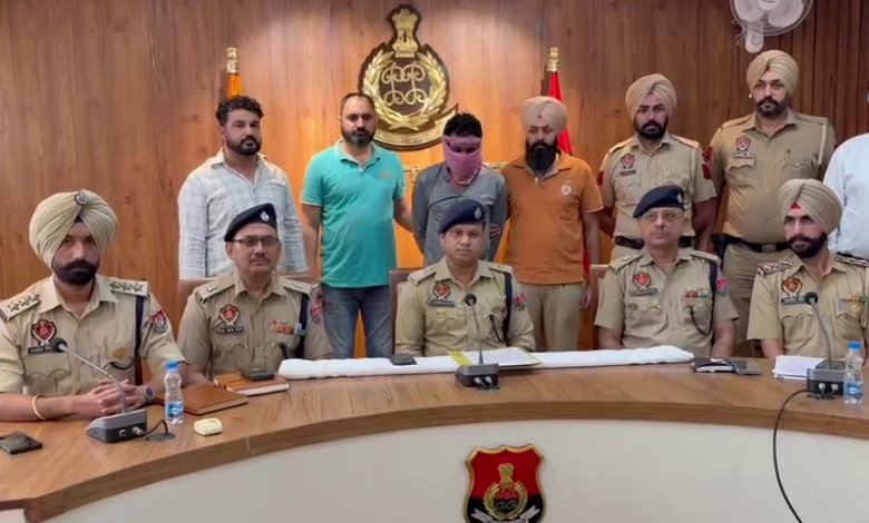 vlcsnap 2025 11 05 15h17m16s932