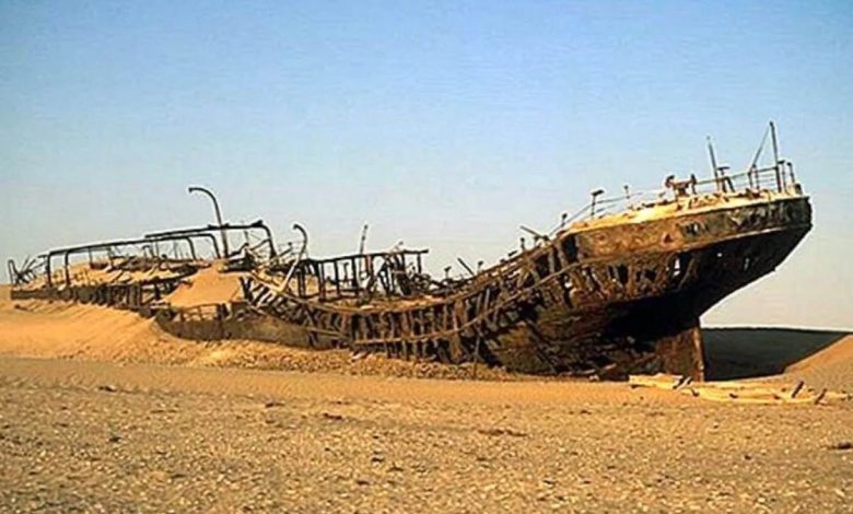 31 12 2025 31dec2025 pj kk 9569038