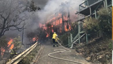 ਆਸਟ੍ਰੇਲੀਆ ਨੇ ਨਿਊ ਸਾਊਥ ਵੇਲਜ਼ ਰਾਜ ਵਿਚ ਜੰਗਲੀ ਅੱਗ ਨਾਲ ਬਰਬਾਦੀ 2 Photo of ਆਸਟ੍ਰੇਲੀਆ ਨੇ ਨਿਊ ਸਾਊਥ ਵੇਲਜ਼ ਰਾਜ ਵਿਚ ਜੰਗਲੀ ਅੱਗ ਨਾਲ ਬਰਬਾਦੀ