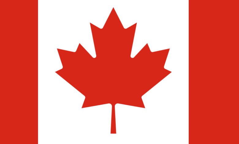 ਕੈਨੇਡਾ ਨੇ ਵਿਦੇਸ਼ ਵਿੱਚ ਜਨਮੇ ਜਾਂ ਗੋਦ ਲਏ ਗਏ ਬੱਚਿਆਂ ਲਈ ਕੈਨੇਡੀਅਨ ਨਾਗਰਿਕਤਾ ਦਾ ਰਸਤਾ ਖੋਲ੍ਹਿਆ 1 c