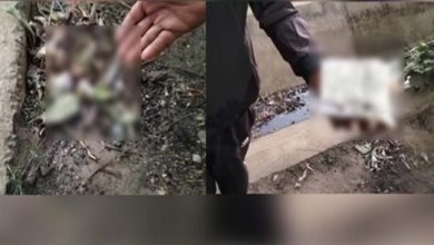 ਸਮਰਾਲਾ ‘ਚ ਵਾਪਰੀ ਬੇਅਦਬੀ ਦੀ ਘਟਨਾ 3 Photo of ਸਮਰਾਲਾ ‘ਚ ਵਾਪਰੀ ਬੇਅਦਬੀ ਦੀ ਘਟਨਾ