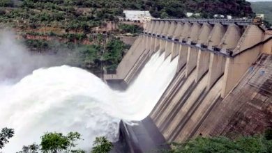 Photo of PB GOVT ਨੇ ਹੁਸ਼ਿਆਰਪੁਰ ਵਿਖੇ BBMB ਦੇ 18 ਮੈਗਾਵਾਟ ਦੇ ਸੋਲਰ ਪ੍ਰਾਜੈਕਟ ਨੂੰ ਰੋਕਿਆ