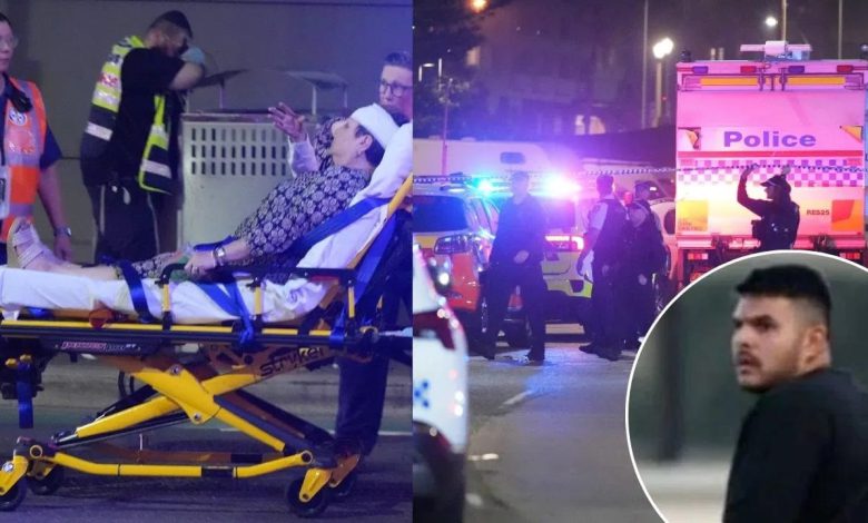 ਸਿਡਨੀ ਚ ਹੋਏ ਅੱਤਵਾਦੀ ਹਮਲੇ ਚ ਮਾਰੇ ਗਏ 16 ਲੋਕ 1 sydney bondi beach