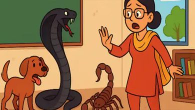 ਅਧਿਆਪਕਾਂ ਲਈ ਵੱਡਾ ਫਰਮਾਨ; ਸੱਪ ਤੇ ਬਿੱਛੂ ਭਜਾਉਣ ਉਤੇ ਲੱਗੀ ਡਿਊਟੀ 6 Photo of ਅਧਿਆਪਕਾਂ ਲਈ ਵੱਡਾ ਫਰਮਾਨ; ਸੱਪ ਤੇ ਬਿੱਛੂ ਭਜਾਉਣ ਉਤੇ ਲੱਗੀ ਡਿਊਟੀ