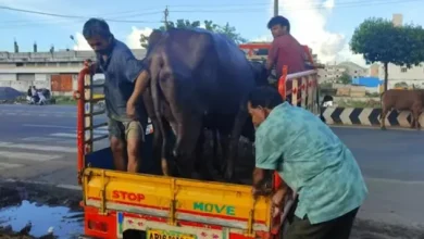 ਮੱਝ ਦਾ ਅਸਲੀ ਮਾਲਕ ਕੌਣ ਹੈ? ਦੋ ਧਿਰਾਂ ਚ ਵਿੱਚ ਝੜਪ 6 Photo of ਮੱਝ ਦਾ ਅਸਲੀ ਮਾਲਕ ਕੌਣ ਹੈ? ਦੋ ਧਿਰਾਂ ਚ ਵਿੱਚ ਝੜਪ