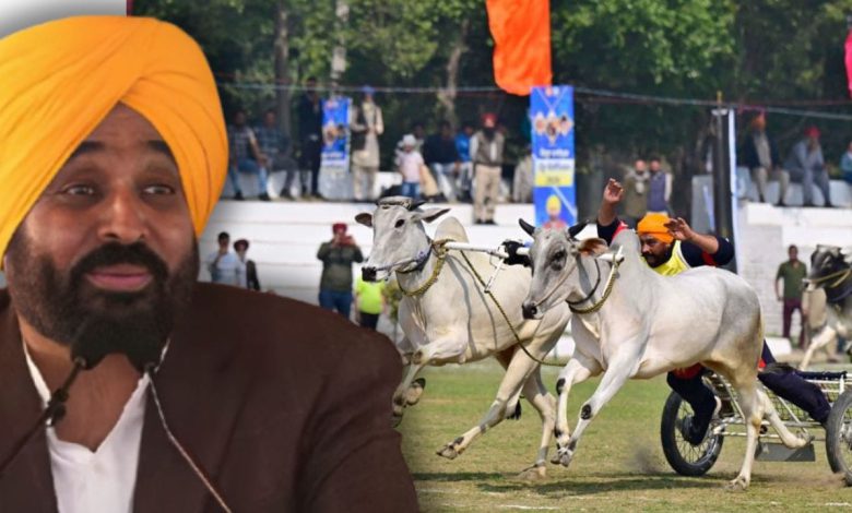 CM BhagwantMann Qila Raipur Olympics bullock