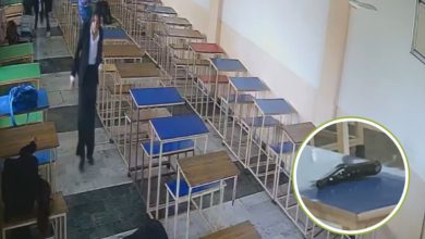 Photo of ਲਾਅ ਕਾਲਜ ਵਿੱਚ ਵਿਦਿਆਰਥਣ ਦੇ ਗੋਲੀ ਮਾਰਨ ਵਾਲੇ ਆਰੋਪੀ ਵਿਦਿਆਰਥੀ ਦੀ ਵੀ ਇਲਾਜ ਦੌਰਾਨ ਮੌਤ